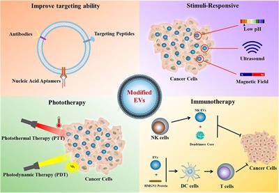 Direct Modification of Extracellular Vesicles and Its Applications for Cancer Therapy: A Mini-Review